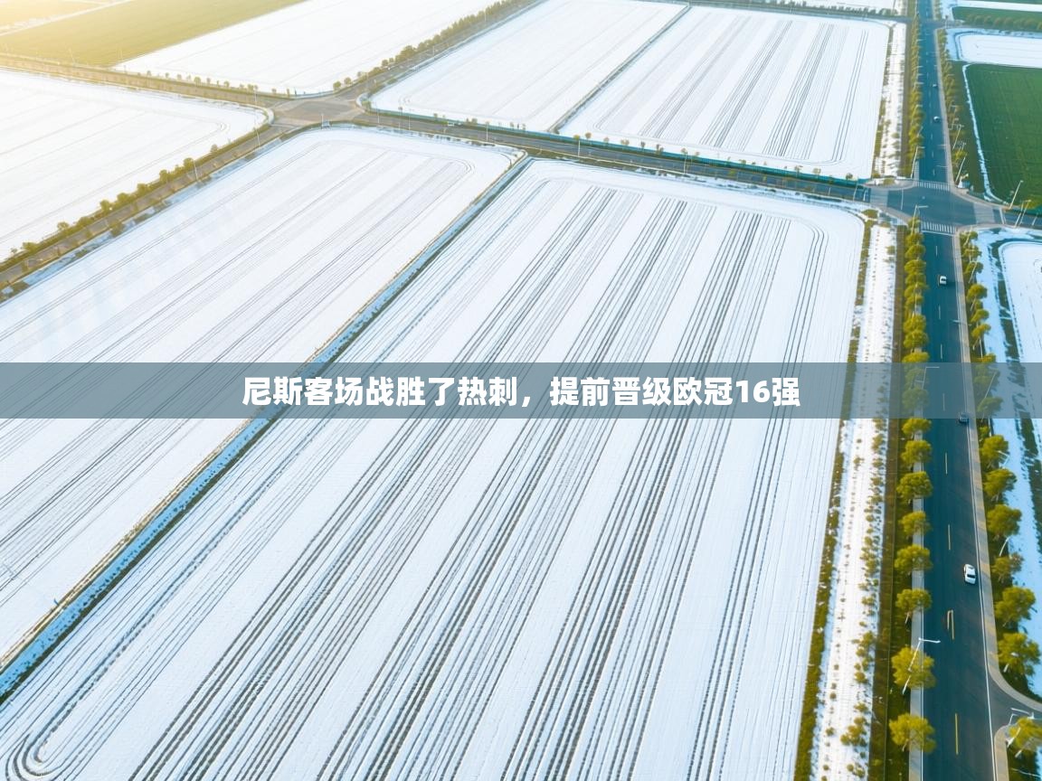 尼斯客场战胜了热刺,提前晋级欧冠16强 第1张