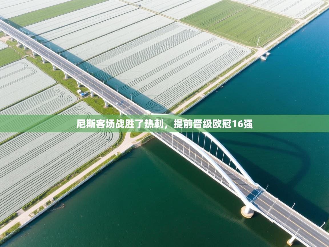 尼斯客场战胜了热刺,提前晋级欧冠16强 第2张