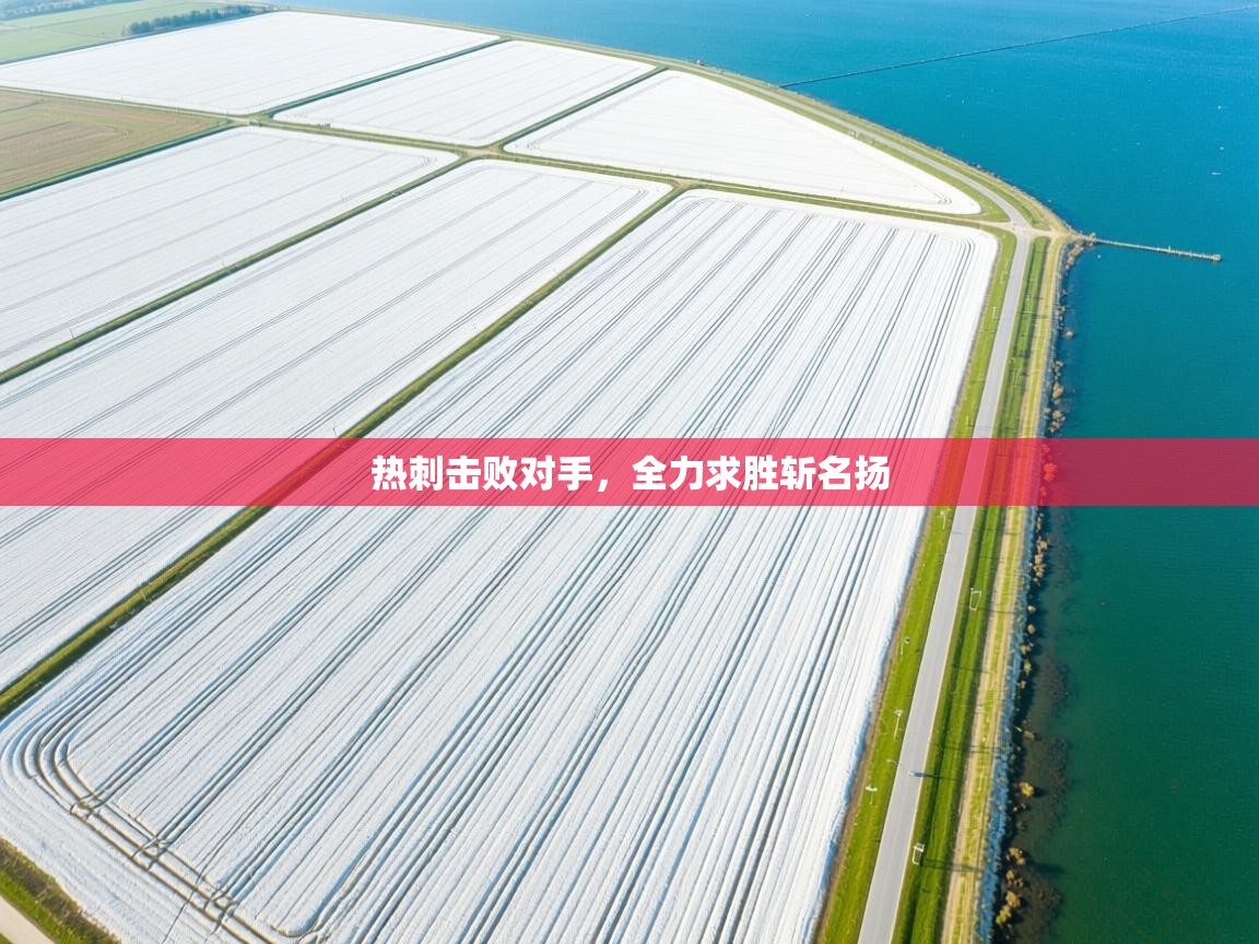 热刺击败对手，全力求胜斩名扬