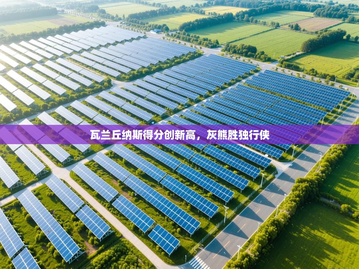 瓦兰丘纳斯得分创新高，灰熊胜独行侠  第1张