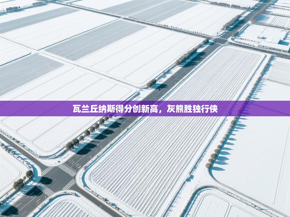 瓦兰丘纳斯得分创新高，灰熊胜独行侠  第2张