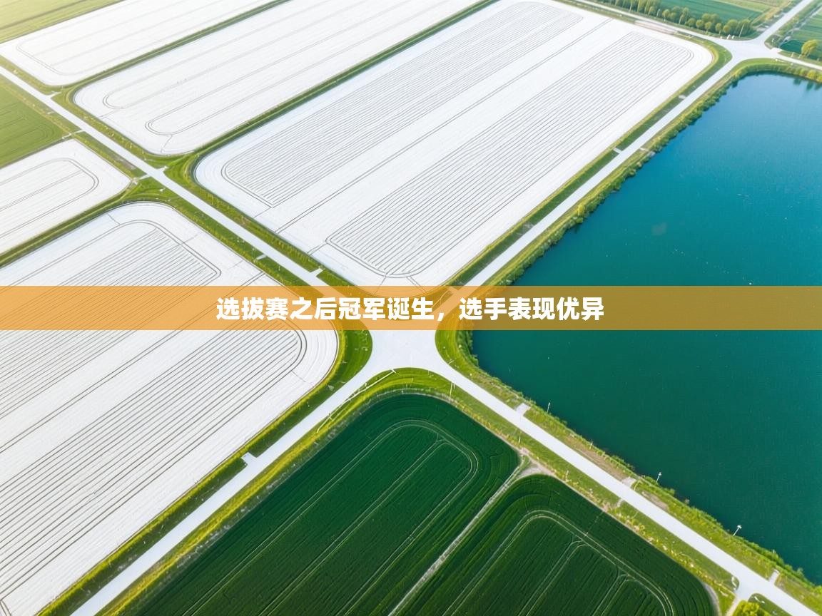 选拔赛之后冠军诞生，选手表现优异  第1张