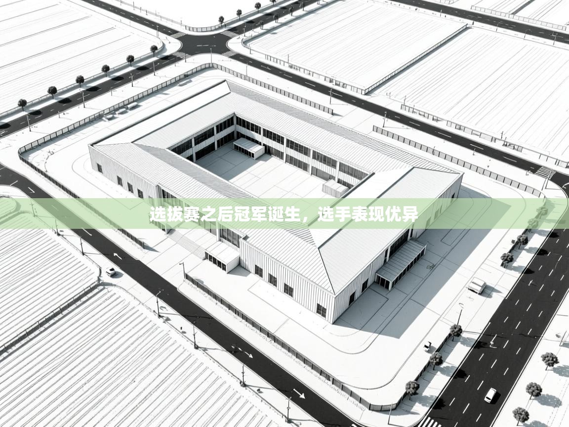 选拔赛之后冠军诞生，选手表现优异  第2张
